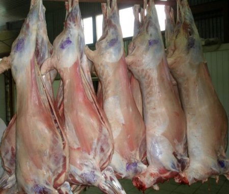 Хонь, ямааны махны экспорт 4.3 дахин нэмэгджээ