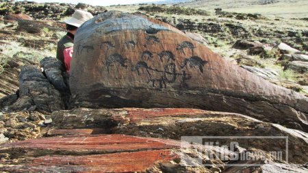 ДУНДГОВИЙН ДОЛООН ГАЙХАМШГИЙН НЭГ ДЭЛ УУЛ ДЭЛХИЙД ГАРАХ ДӨХӨЖ БАЙГАА