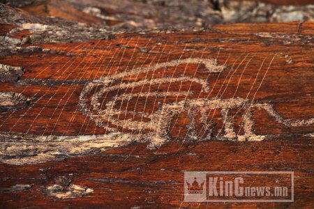 ДУНДГОВИЙН ДОЛООН ГАЙХАМШГИЙН НЭГ ДЭЛ УУЛ ДЭЛХИЙД ГАРАХ ДӨХӨЖ БАЙГАА