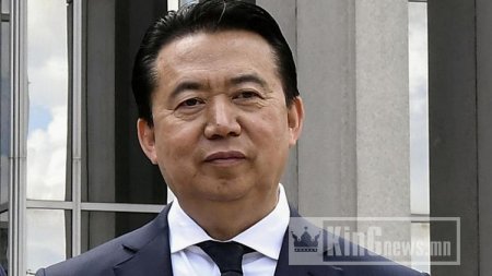 Интерполын тэргүүн асан Мэн Хунвэй 13 жил хоригдоно