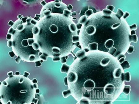 Коронавируст халдвар (COVID-19) хэрхэн дамждаг вэ