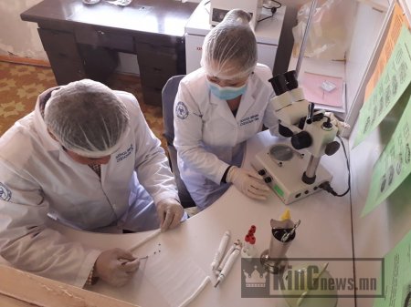 ДУНДГОВЬ АЙМГИЙН ЗӨСТӨВ ХАЧГААР ДАМЖИХ ХАЛДВАРЫН ТАНДАЛТ СУДАЛГААГ ГҮЙЦЭТГЭЛЭЭ.
