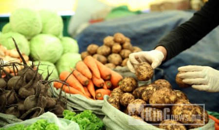 Монгол төмс "мода"-нд орох цаг дор 