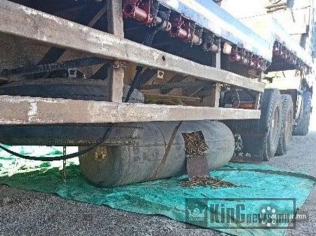 Дэрвэгэр жиргэрүү гэх ургамлыг нуун, хилээр нэвтрүүлэх гэж байсныг илрүүллээ