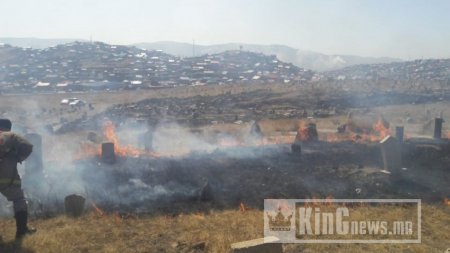 Шар өвс шатааж, гал алдвал зөрчлийн хуулиар торгоно